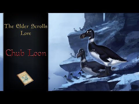 The Majestic Chub Loon, Tamriel's Penguin - The Elder Scrolls Lore