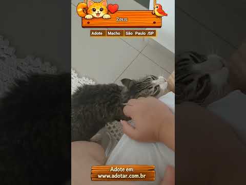 Vídeo de Zeus