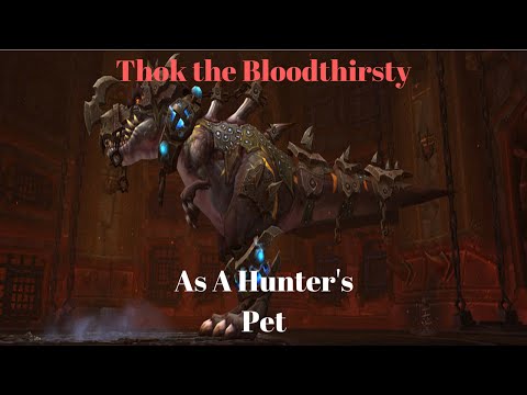 How to Tame Thok The Bloodthirsty as a hunter in Pre Legion!