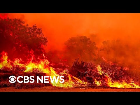 Wildfires force evacuations across Western U.S.