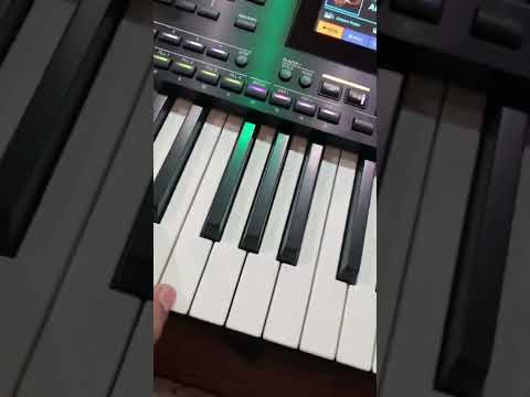 Korg Pa5X How play Bass on left side of Korg Pa5X