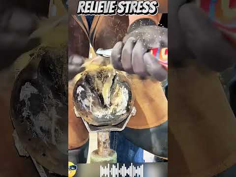 It's time to relax and take a break #asmr #horse #relaxation #comfort