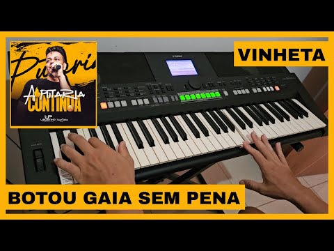 VINHETA BOTOU GAIA SEM PENA - LEOZINHO PISADINHA (COMPLETA)