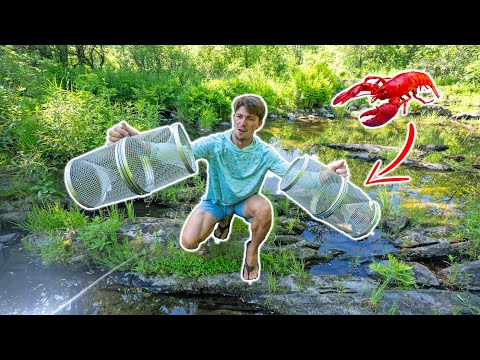 Roadside Craw Fishing Trapping For HUGE Crawfish Boil (Catch Clean Cook)