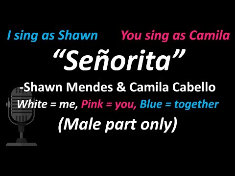 Shawn Mendes, Camila Cabello - Señorita (Male Part Only) | Lower Key | Cover #duetwithme