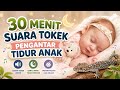 30 MENIT SUARA TOKEK PENGANTAR TIDUR ANAK