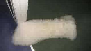 sheep skin rug comes alive