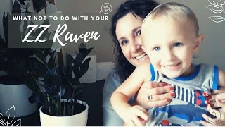 ZZ Raven | What NOT to do LOL