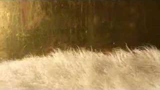 Seabear - Hands Remember