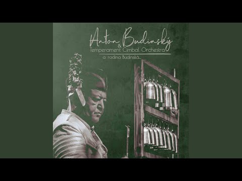 Vysila mi moja mamka suknicku (feat. Martin Budinský)