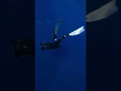 Greece is definitely happening @gorillahealthfare