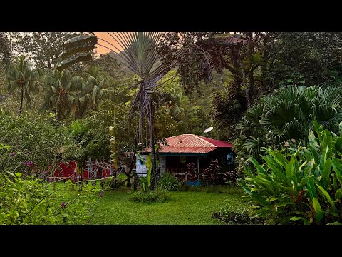 31ST | Costa Rica | INSIGHT.75