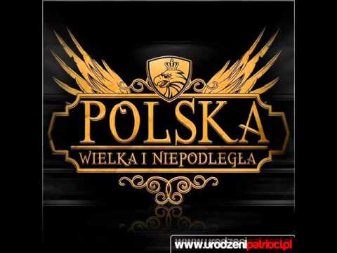 Kubahwdp pomidor antoniego