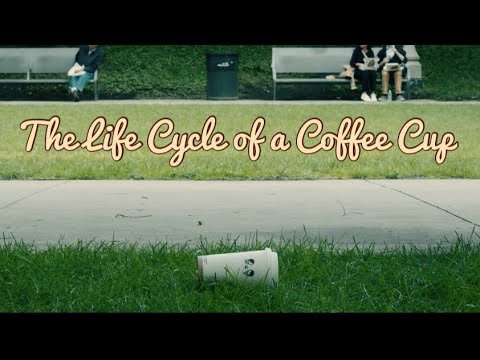 The Life Cycle of a Coffee Cup - Mini Film
