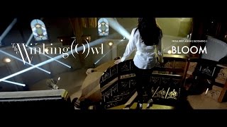 The Winking Owl - Bloom - Official Music Video