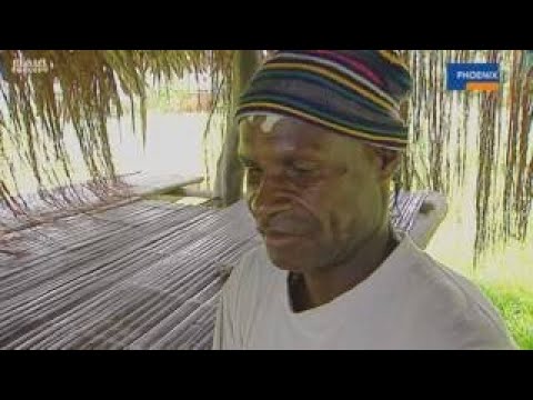 Mein Ausland Asien 2013 Phoenix