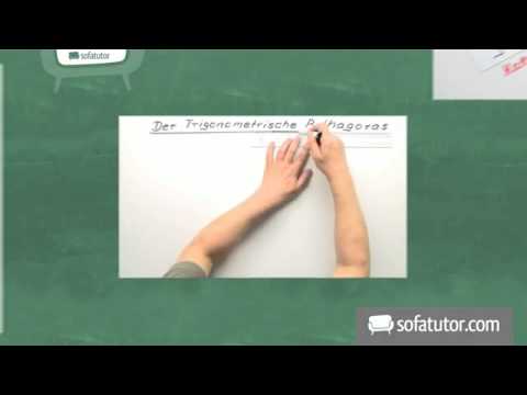 Die C4-Fotosynthese | Biologie | Stoffwechselbiologie