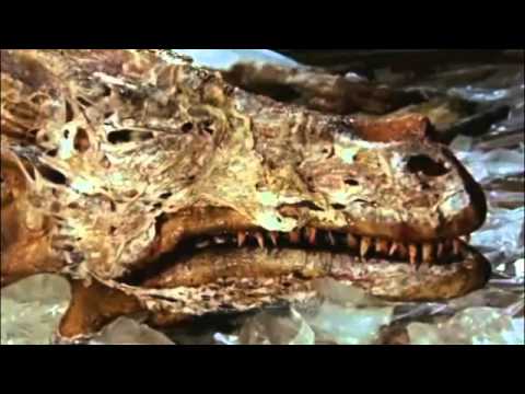 mighty thor corazon de dragon (video)