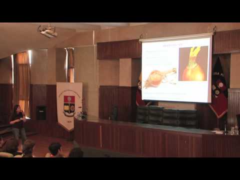 Fotograma del vídeo: Pérdidas en la postcosecha de producción de vegetales enfermedades y fisiopatías