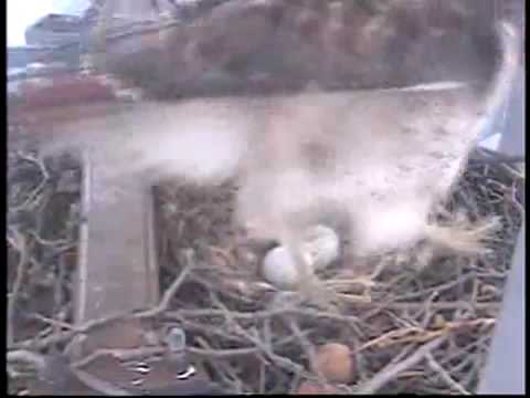 Shift change with close ups