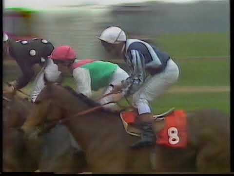 1987 1,000 Guineas   Miesque Includes Replay