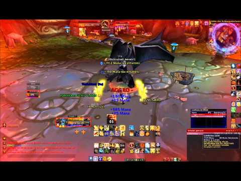 SSC Solo - Leotheras der Blinde  - Ret Paladin