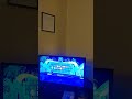 Wheel Of Fortune Wii W Almost All Of My Mii Channel Miis Episode 11