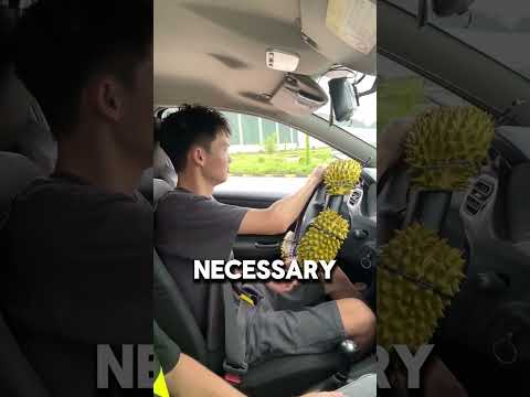 Unique way to learn how to drive