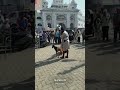 Hazur Sahib Maharashtra Bakra Jhatka