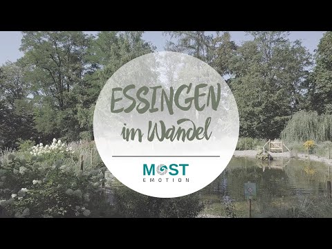 Essingen im Wandel