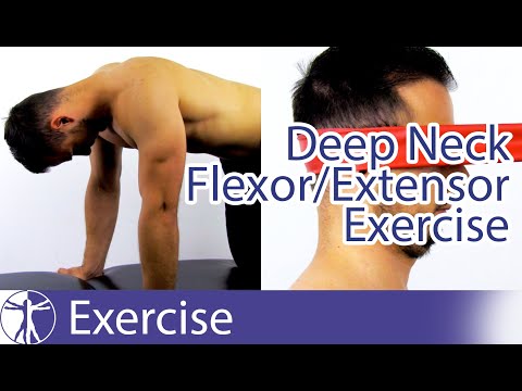 Neck Pain Exercises for aspecific Neck Pain | Deep Cervical Flexors & Extensors