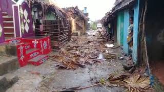 preview picture of video 'TITLI Toofan Affect on Srikakulam Sompeta Korlam 'KUMMARIPADU' Village(1)'
