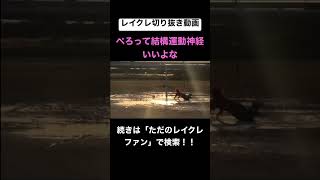 ぺろ愛まじで面白すぎるwwwwwwwwwwwwwww #レイクレしか勝たん #レイクレ切り抜き #レイクレ面白集
