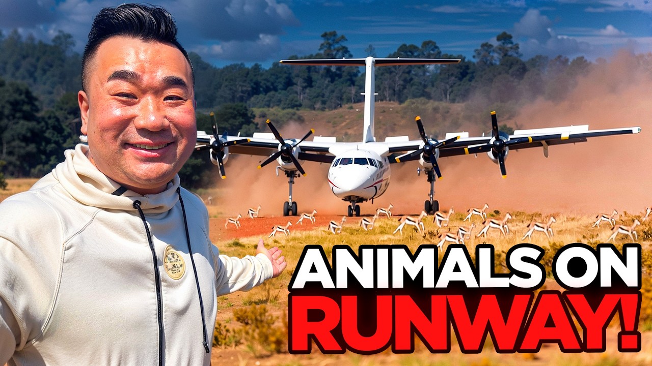 Kenya 🇰🇪 or Tanzania 🇹🇿 ? Africa Fly-in Safari Adventure