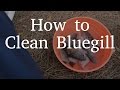 How to Clean Bluegill