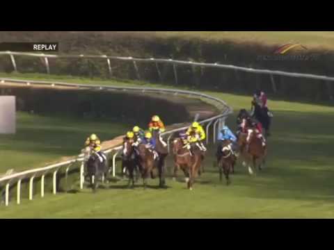 XTIP auf der Rennbahn Köln-Preis