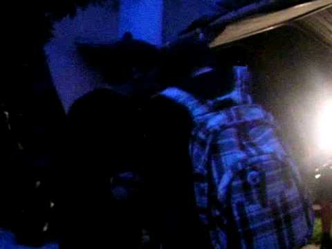 Ribe  - live  @ Dvoriste Rime  KONC  (druga stvar)