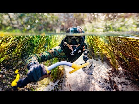 Underwater Metal Detecting for LOST JEWELRY in Florida! (Beware Alligators) | DALLMYD Video