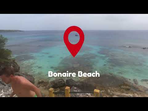 Helma Hooker ship wreck from the shore plus cliff jumping in Bonaire