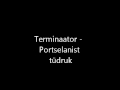 Terminaator - Portselanist tüdruk 