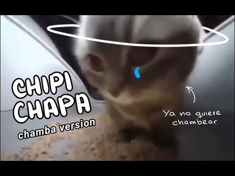 CHIPI CHAPA VERSIÓN CHAMBA
