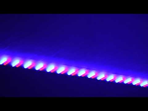 MATTXTRIP • OG's [Pandemic Bars]