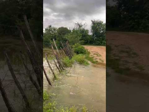 Riacho com Cheia em Donato - Pires Ferreira-CE