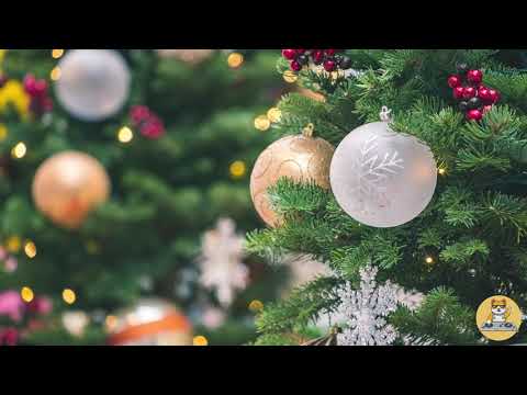 From This Christmas On - The Seasonals