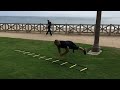 Clapping Ladder Push Ups
