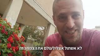 לנטנה ססגונית - צמח רעיל שלעולם לא אשתול אצלי בגינה