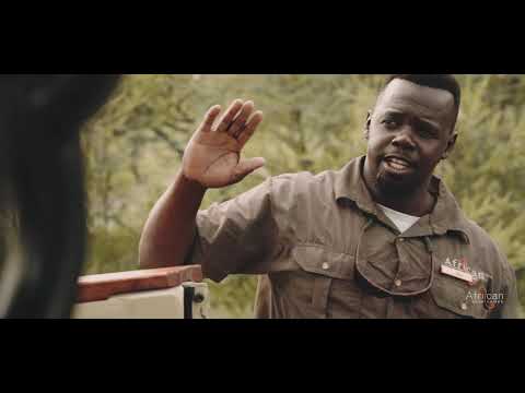 Migration Expeditions