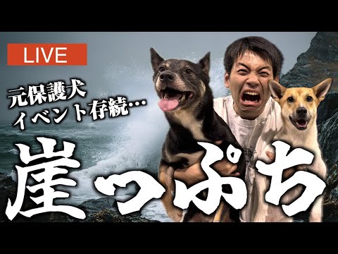 チャンネル登録者を死ぬ気で増やす大奇跡生配信！！！