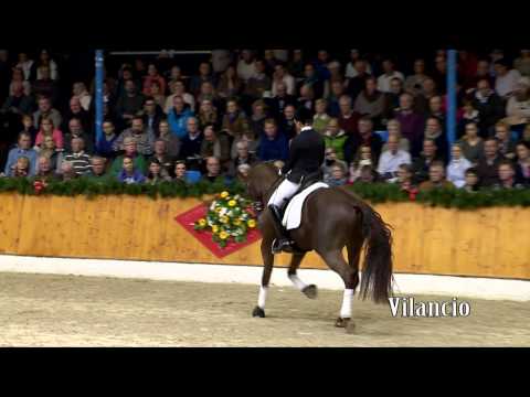 Vilancio english 2015