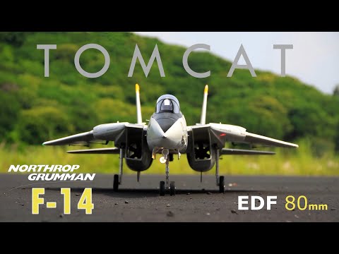 Unboxing Freewing F-14 Twin80mm RC EDF Jet | Lunahobby